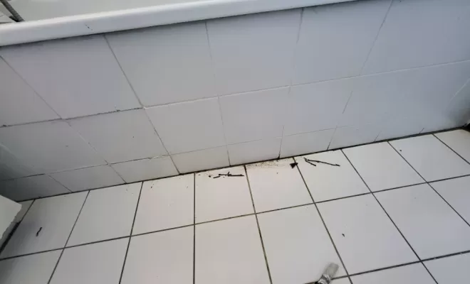 Joints d'étanchéité salle de bain à Pins-Justaret
